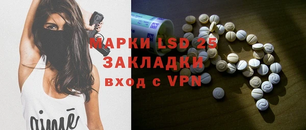 прущие грибы Няндома