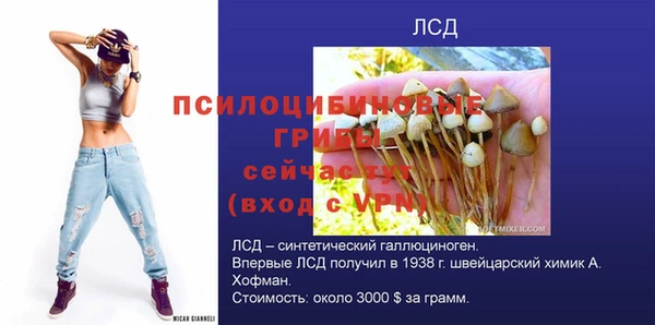 прущие грибы Няндома