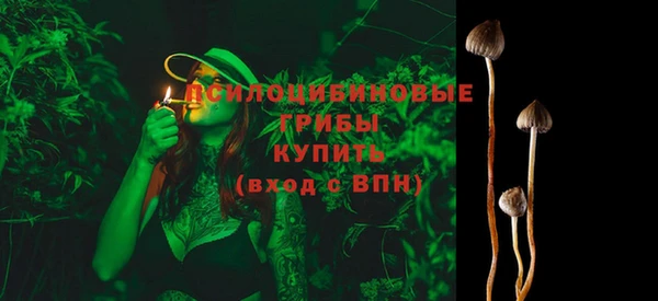 соль ск Нязепетровск