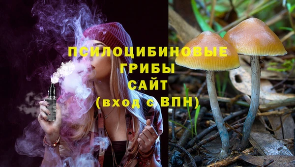 прущие грибы Няндома