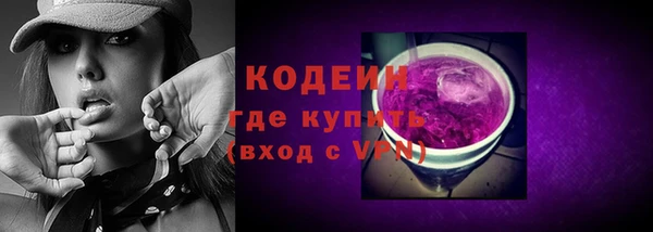 прущие грибы Няндома