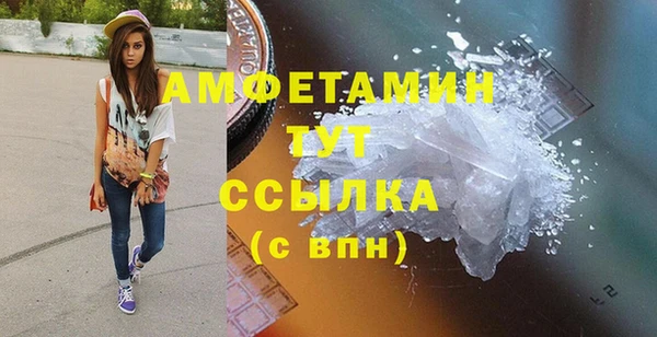 прущие грибы Няндома