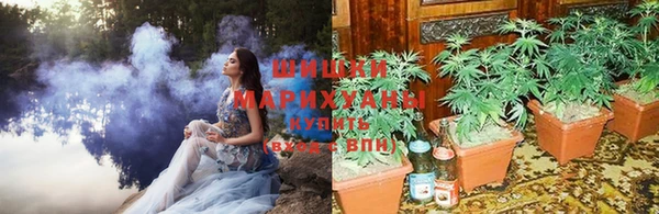 соль ск Нязепетровск