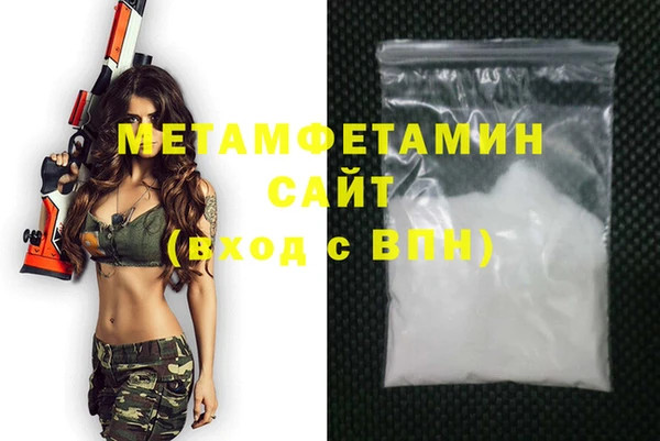 прущие грибы Няндома