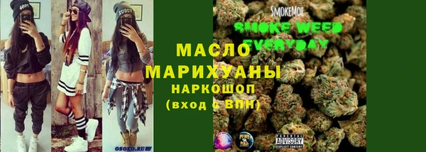 прущие грибы Няндома