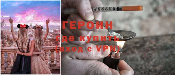 прущие грибы Няндома