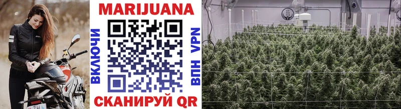 darknet телеграм  ОМГ ОМГ ссылка  Покачи  Шишки марихуана гибрид 